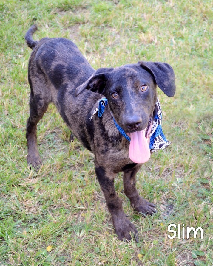 Slim