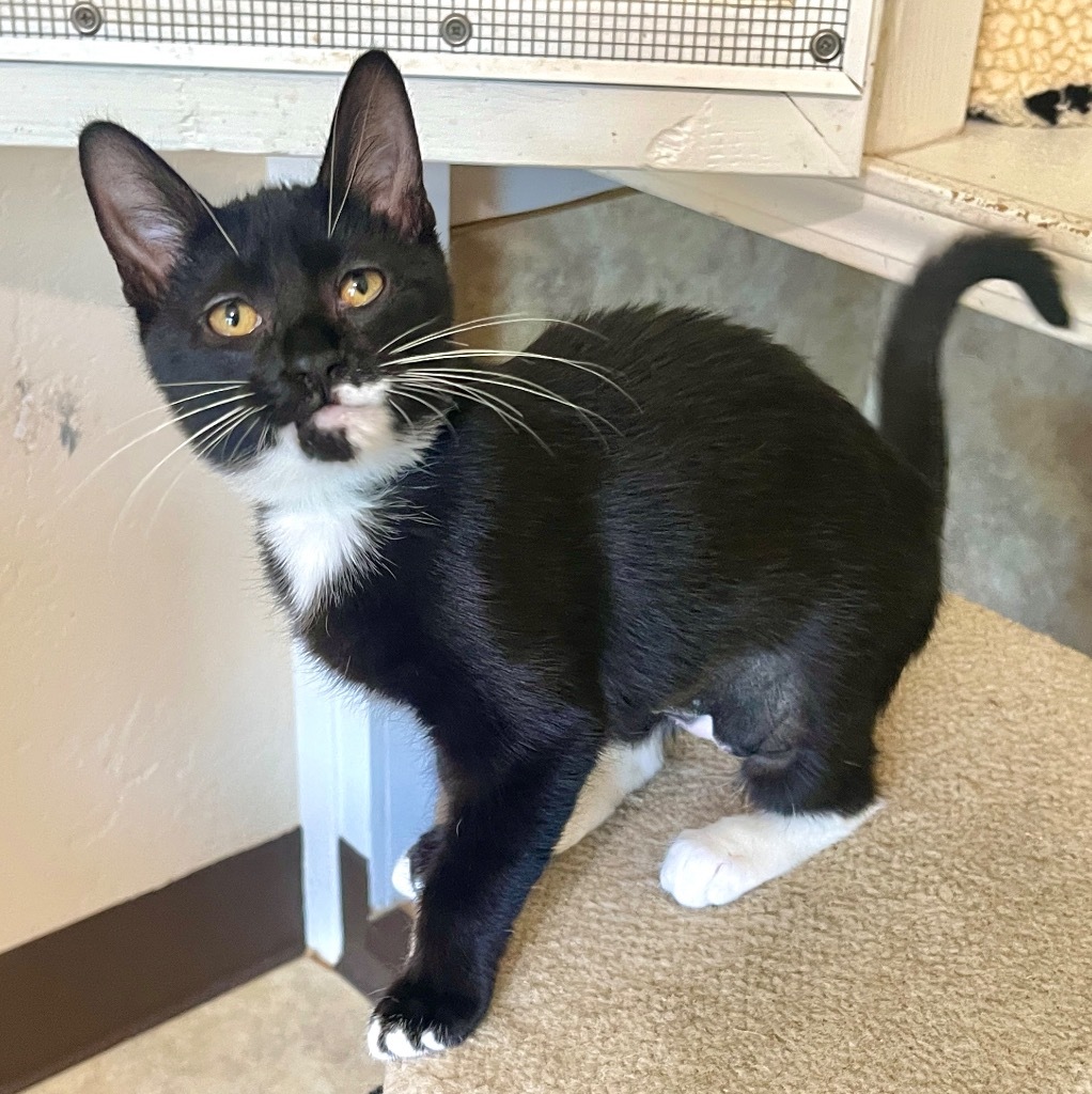 Tux