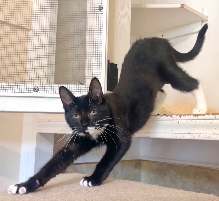 Tux