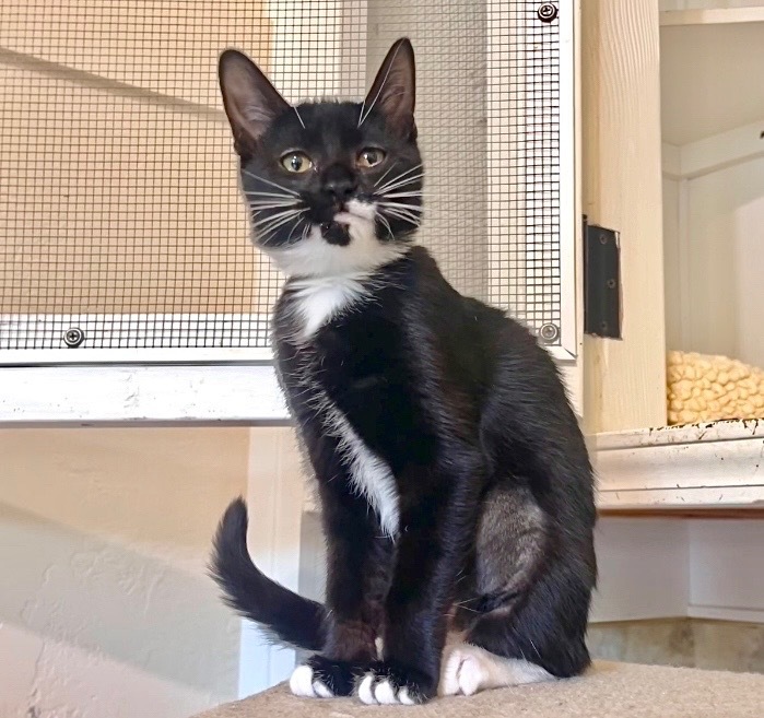 Tux