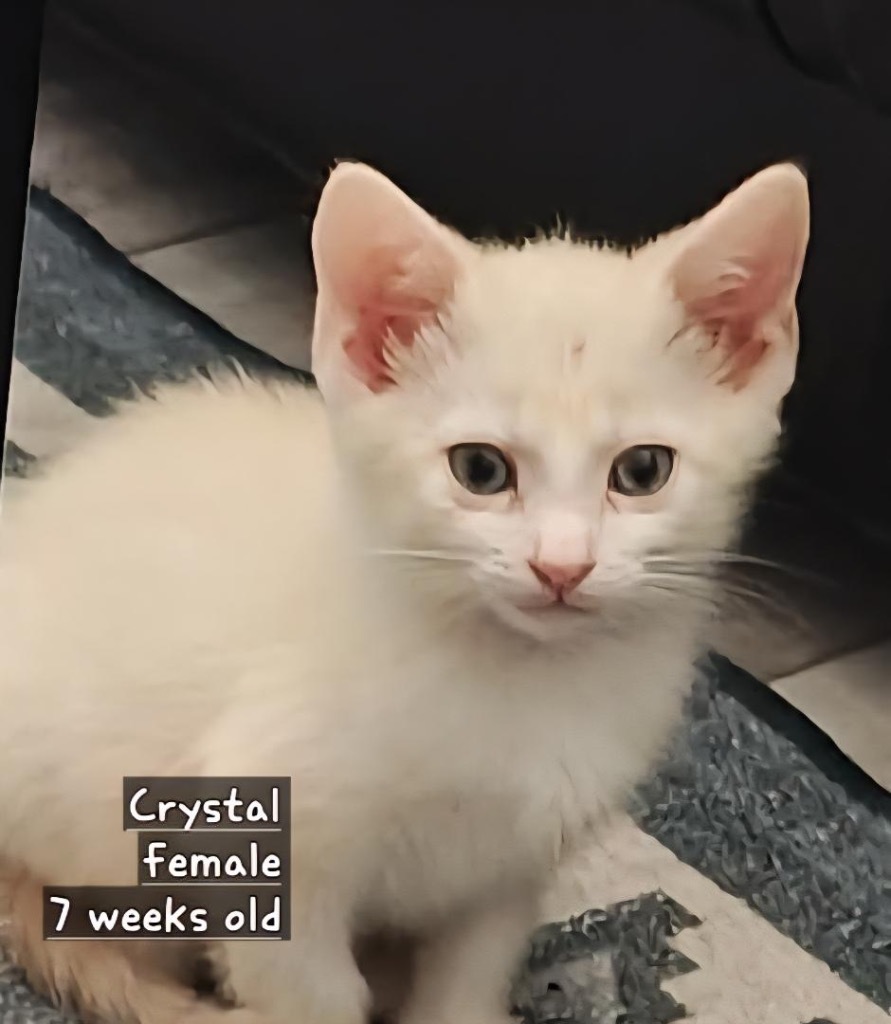 Crystal