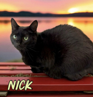 Nick 33246