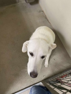 Ellie Mae 33291