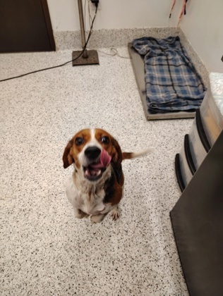 Winnie Barklow