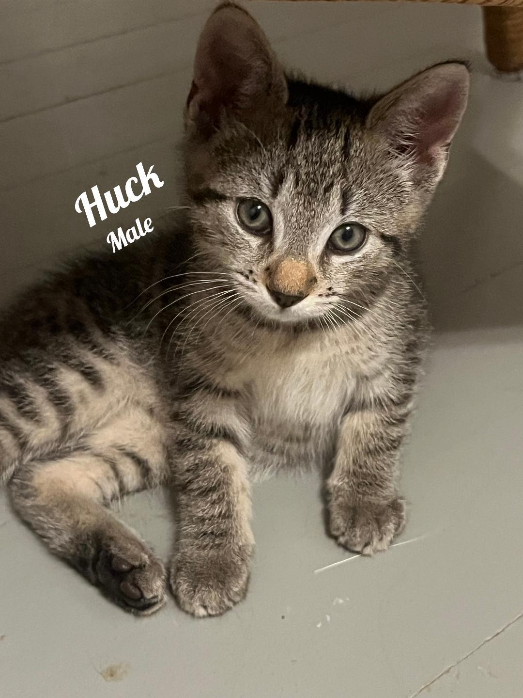 Huck