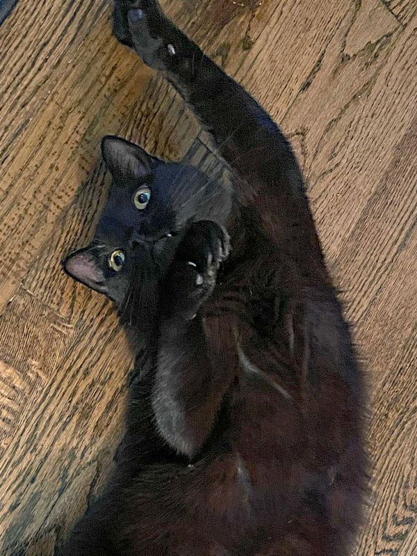 Onyx