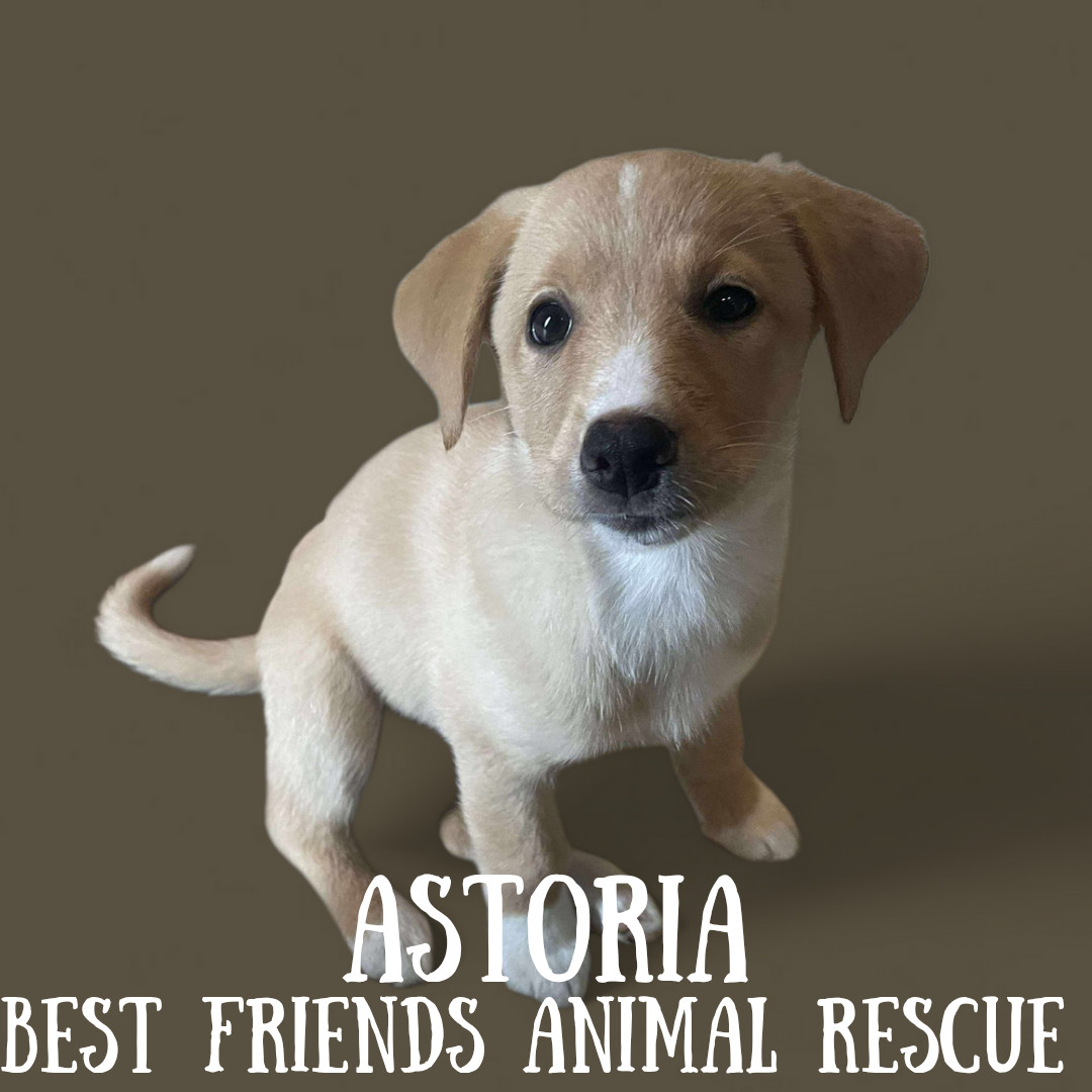 Astoria