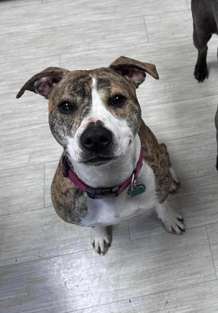 Skye