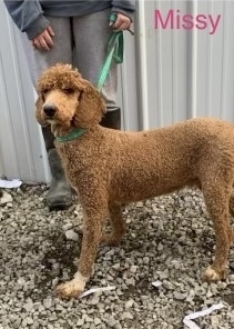 Kaia