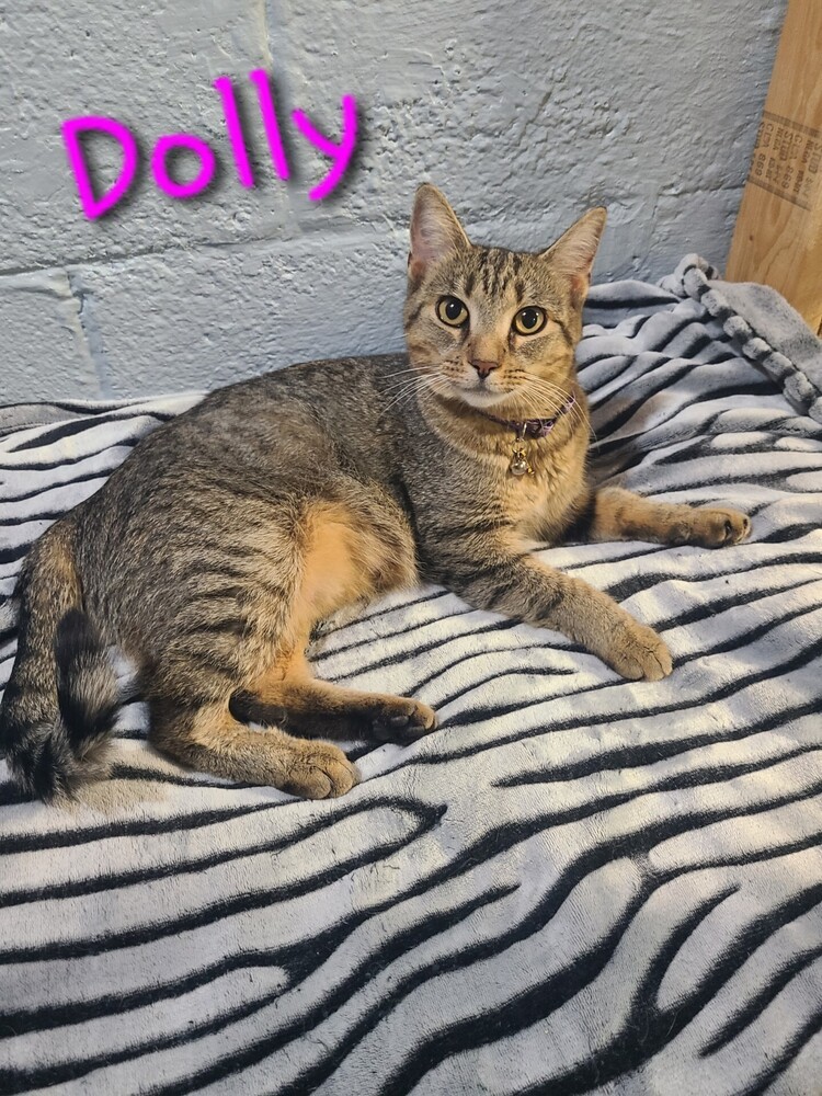 Mama Dolly