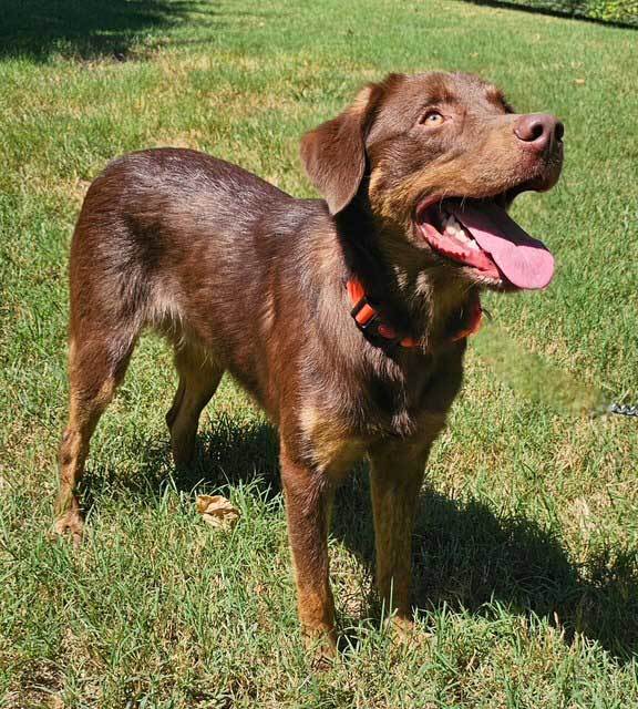 RIGGS