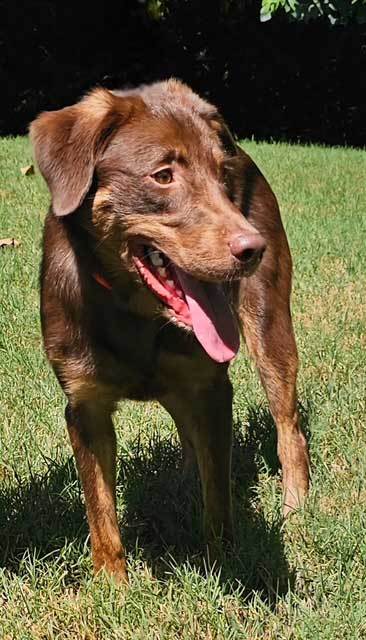 RIGGS