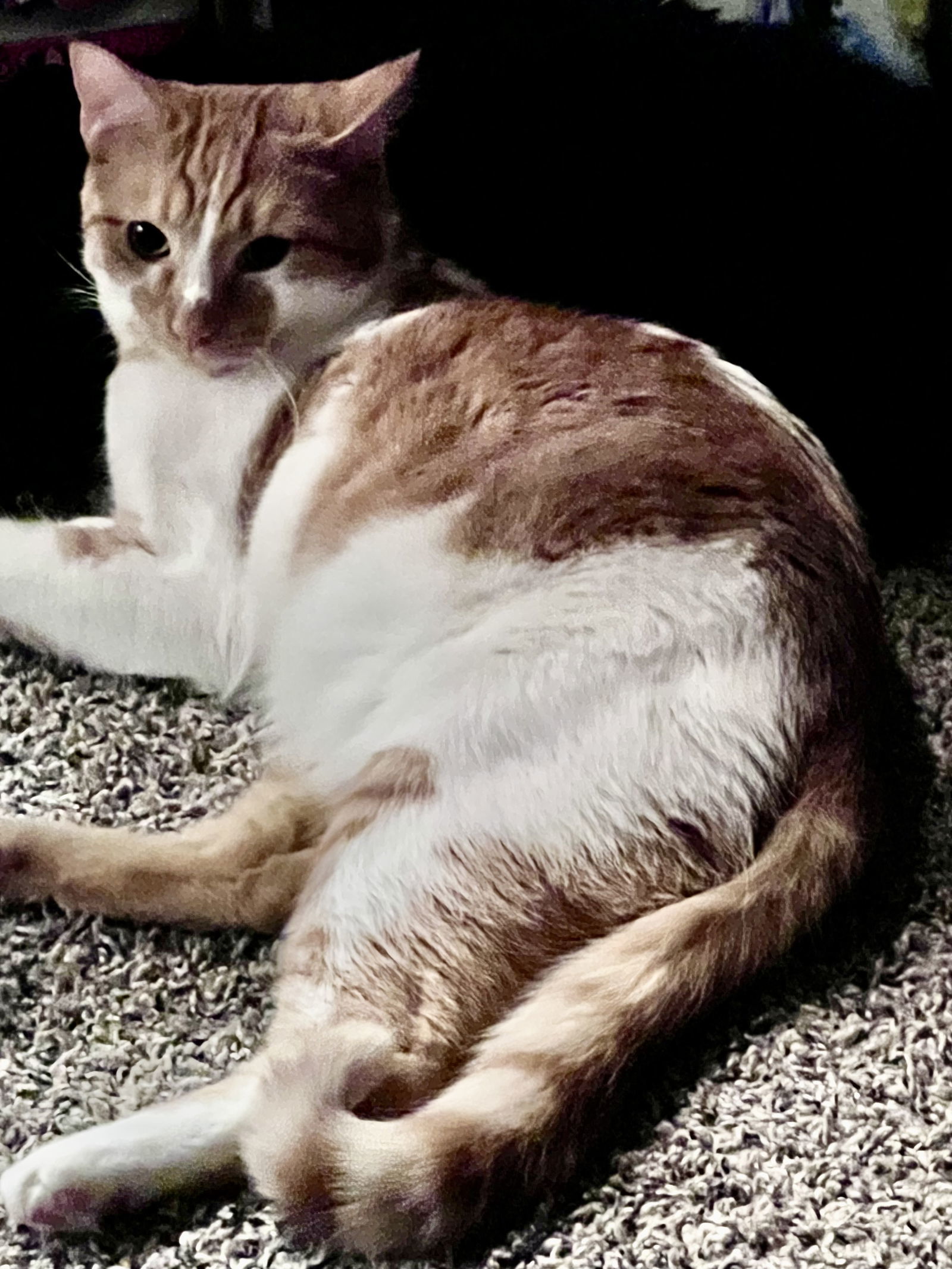 Copper