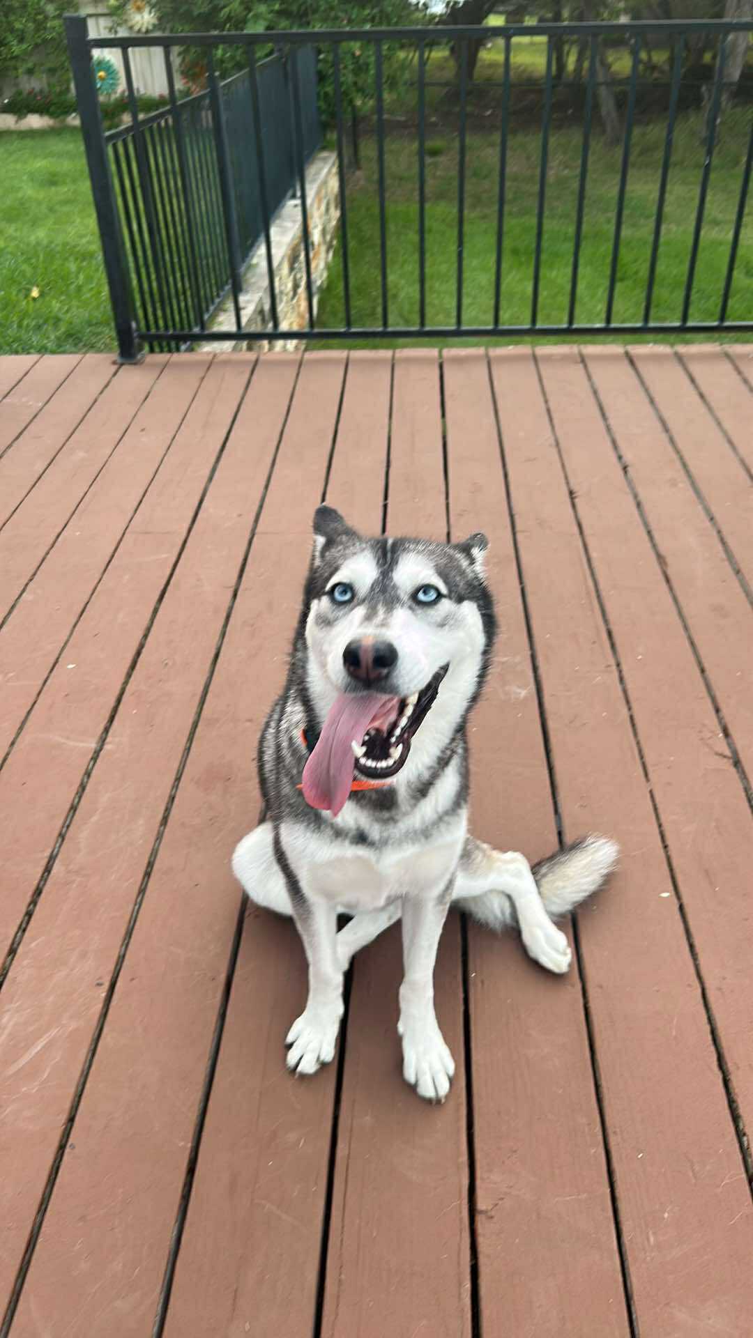 Maggie