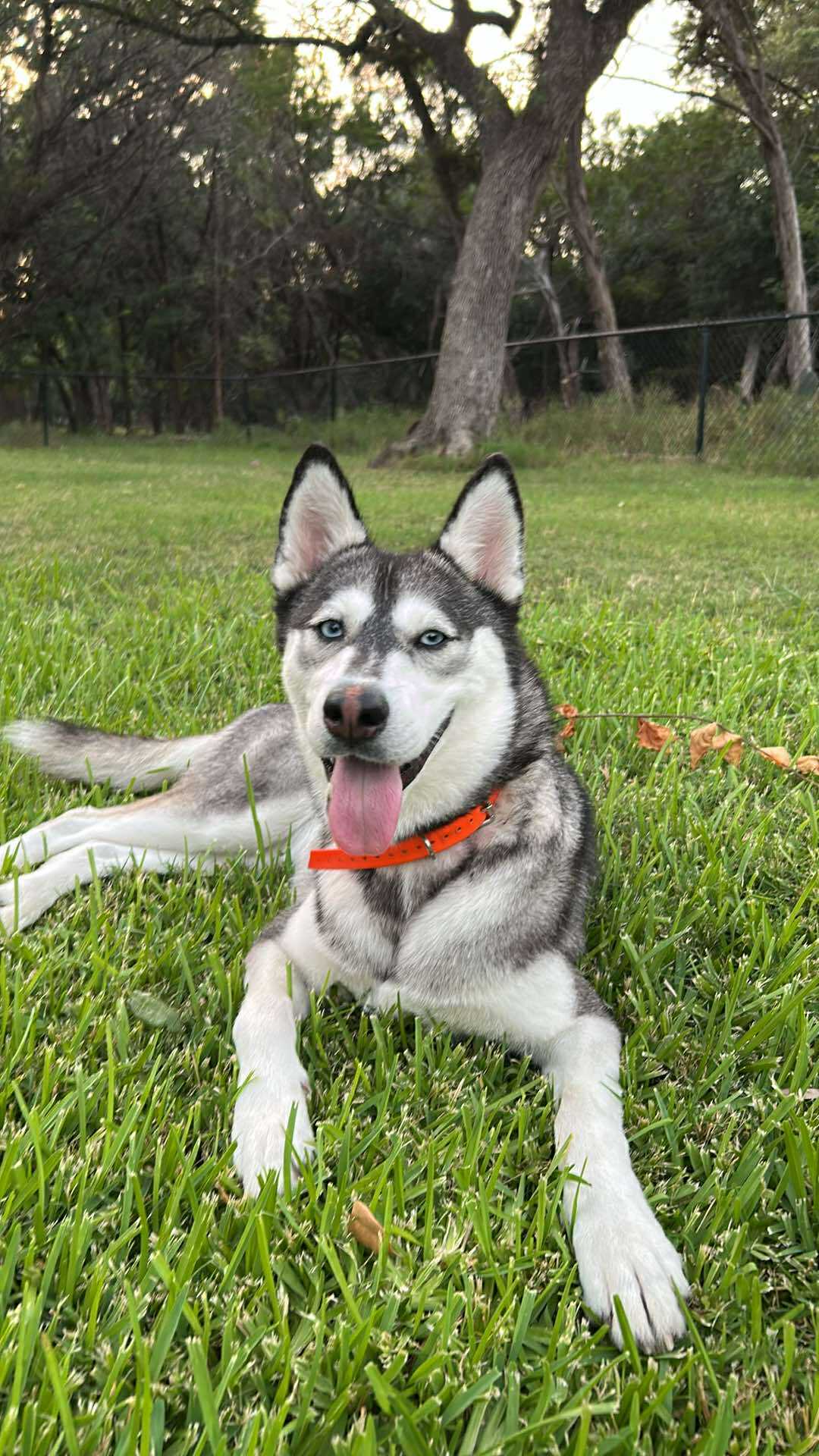 Maggie