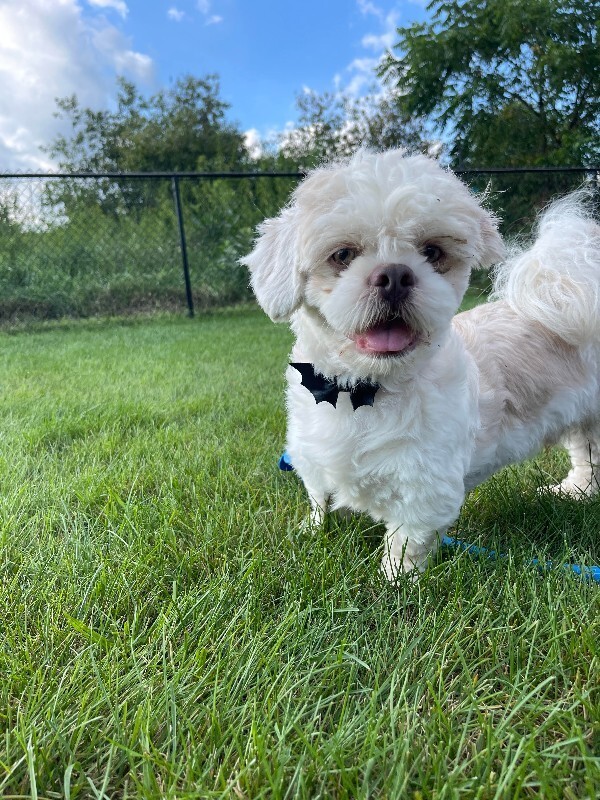 Charlie