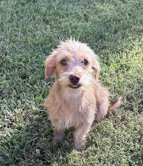 Billy