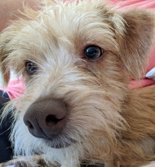 Billy thumbnail 2