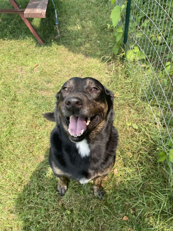Gunner