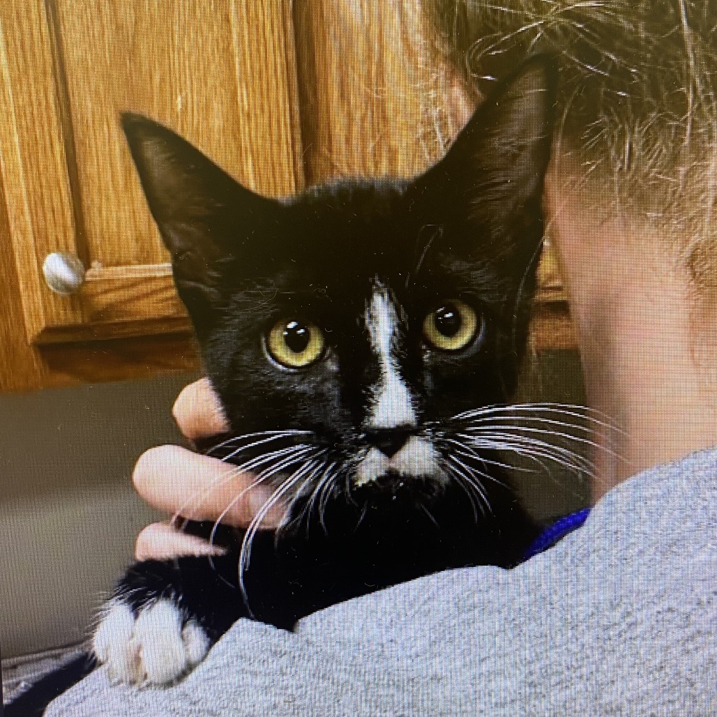 "Henley" Pixel - 072904T