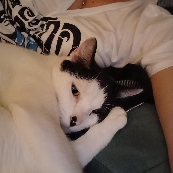Moo
