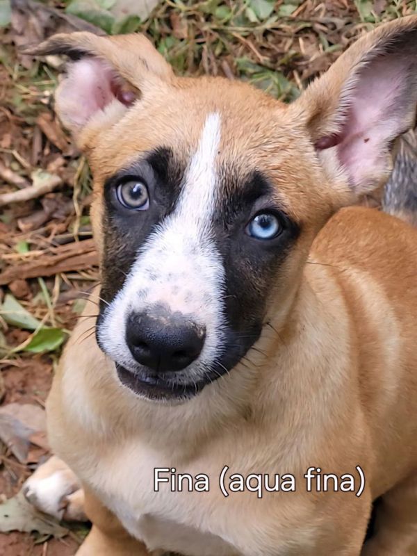 Aquafina thumbnail 2