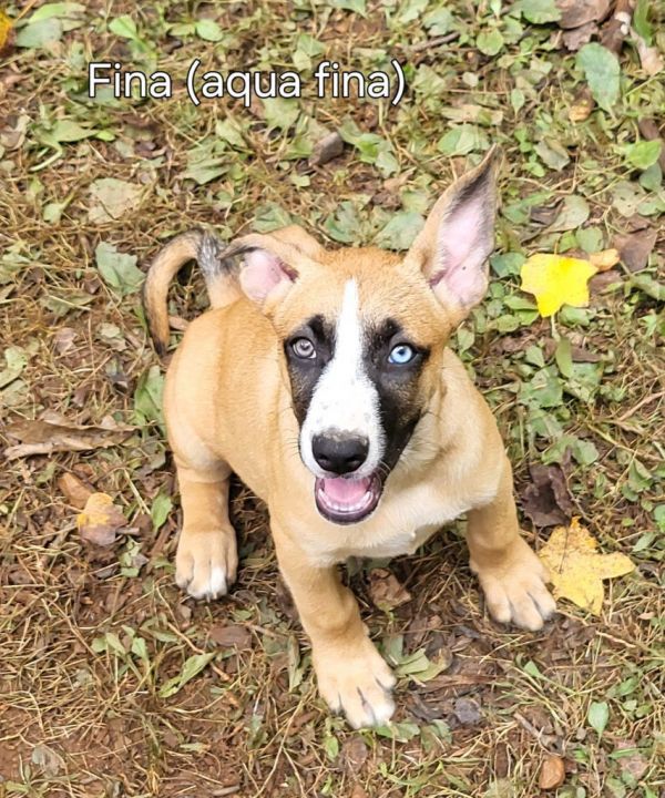 Aquafina thumbnail 3