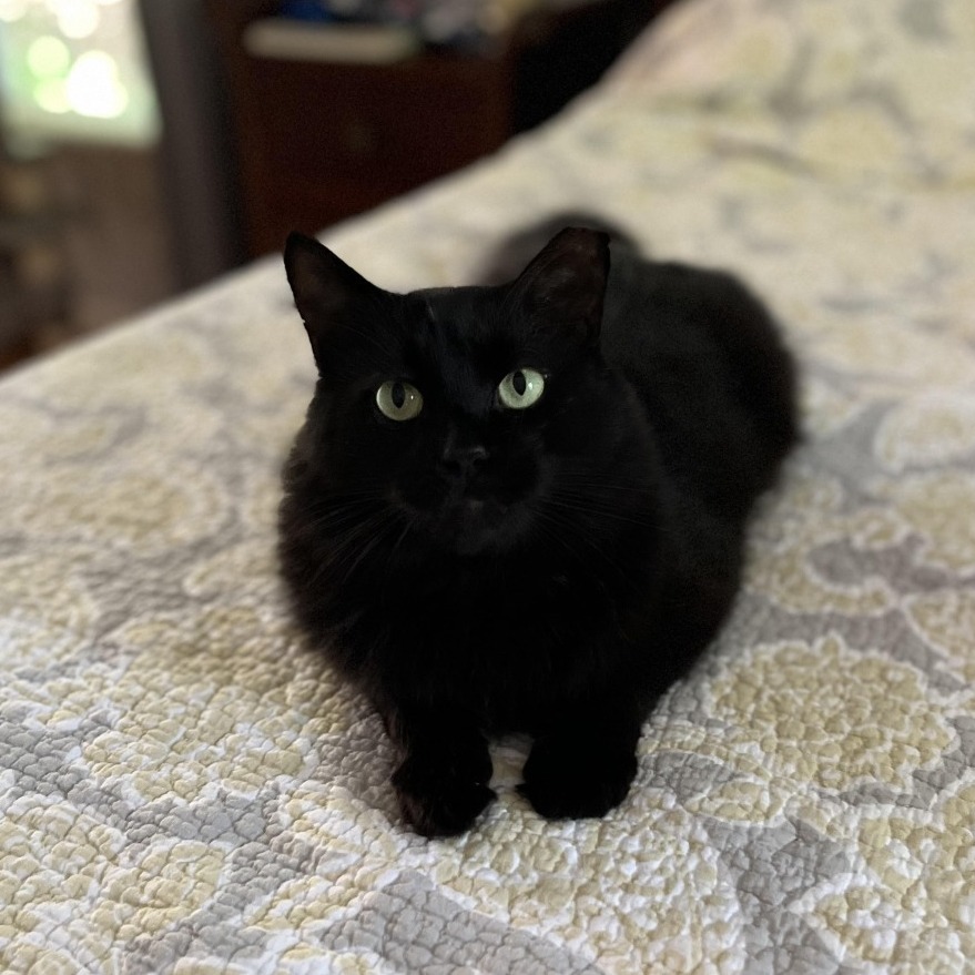 Black Magic