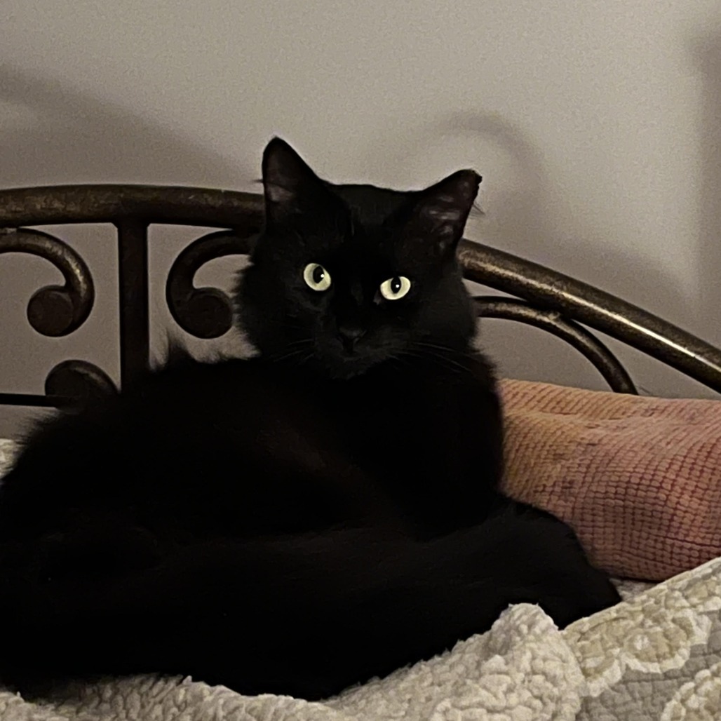 Black Magic