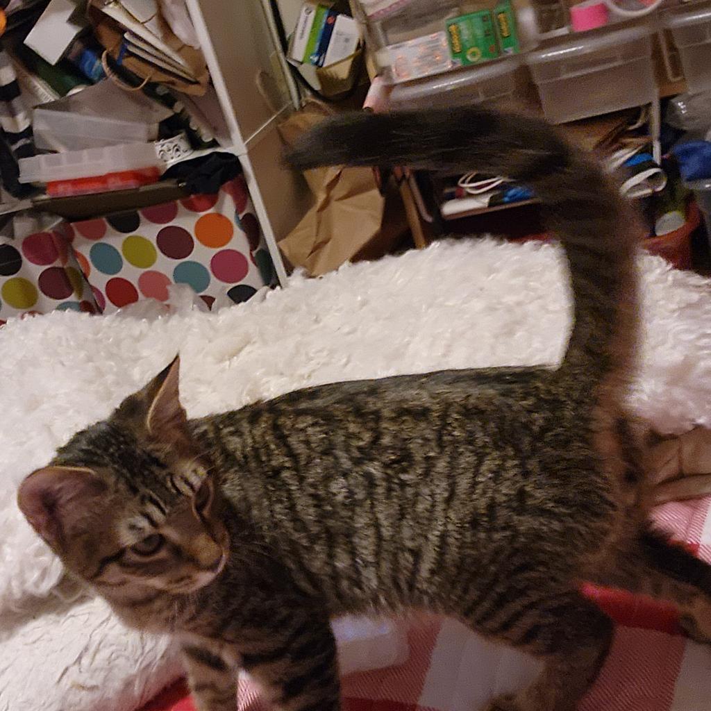 Jack