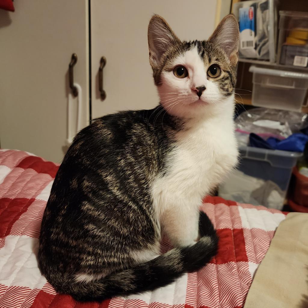 Lily