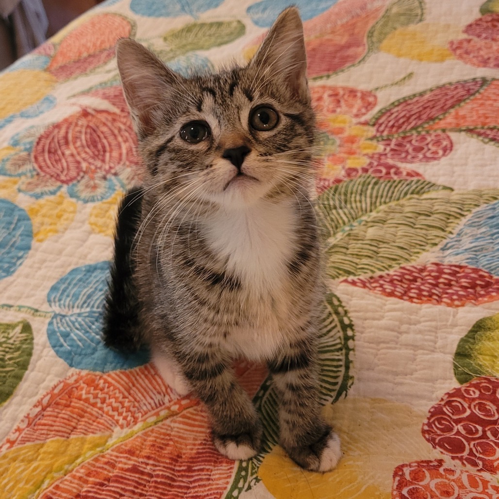 Tilly