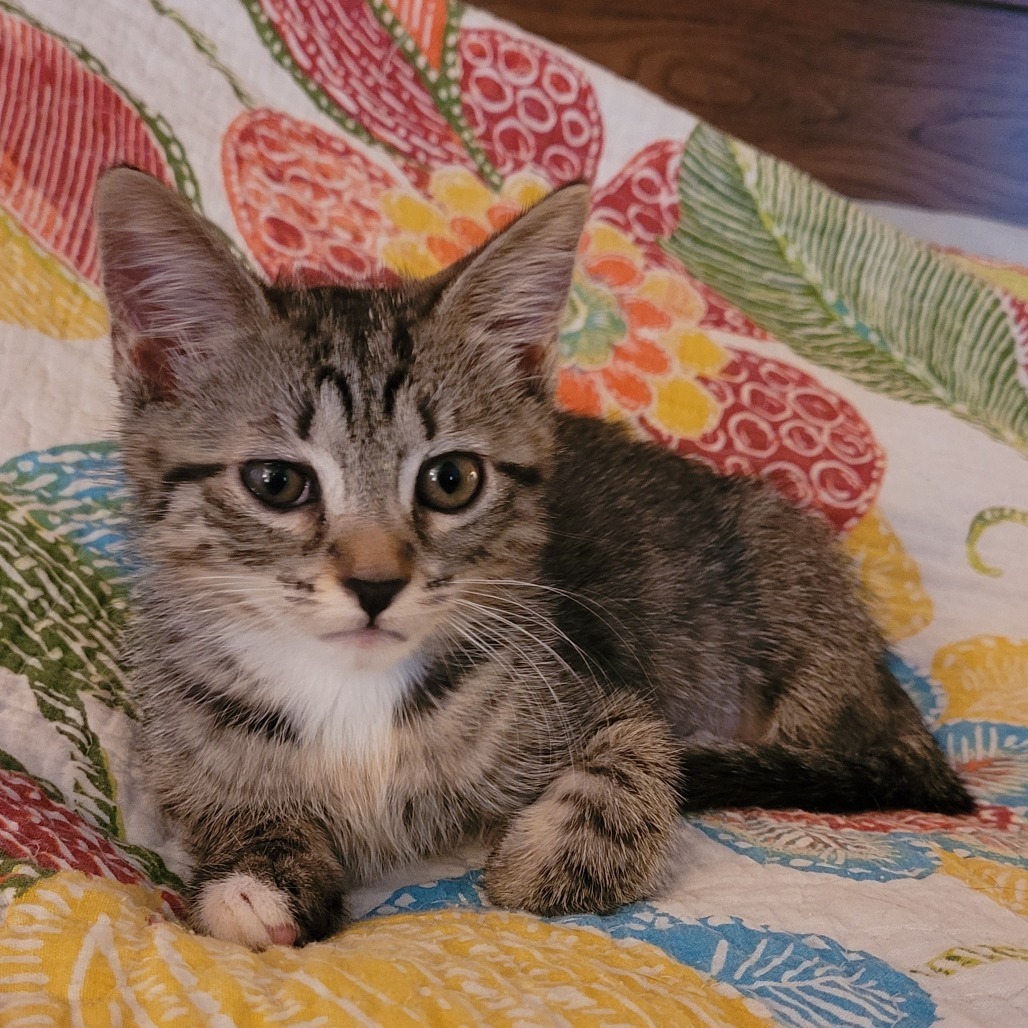 Tilly