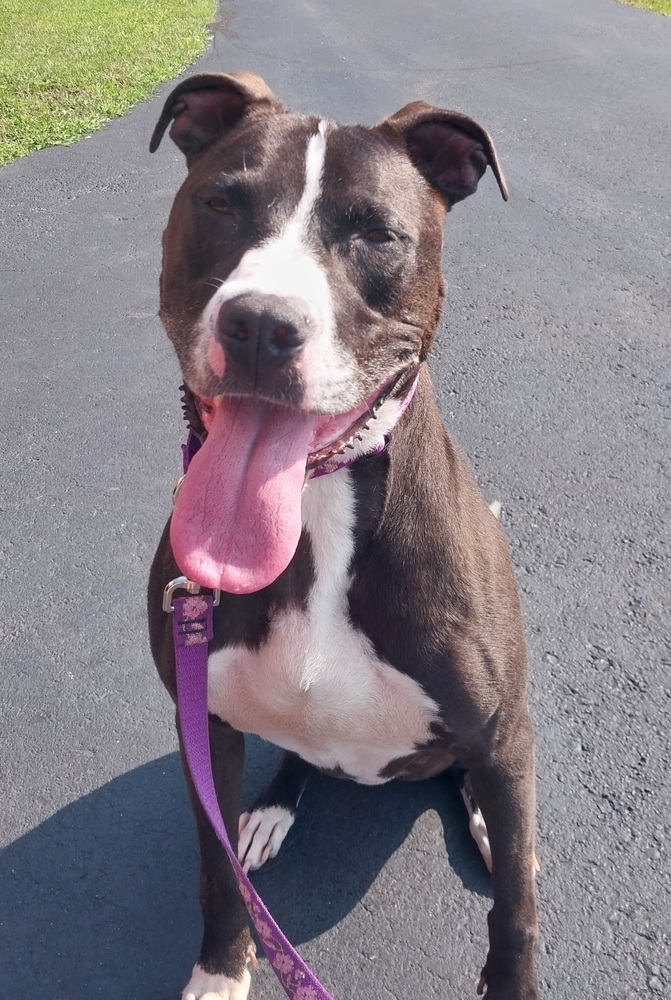 Schatzi- courtesy post