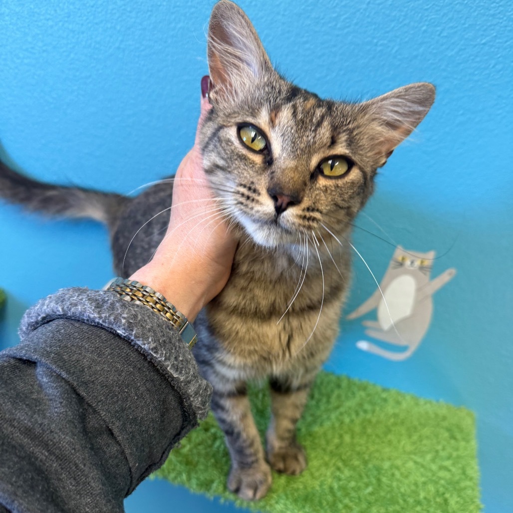 Chardonnay - Has the BEST personality!