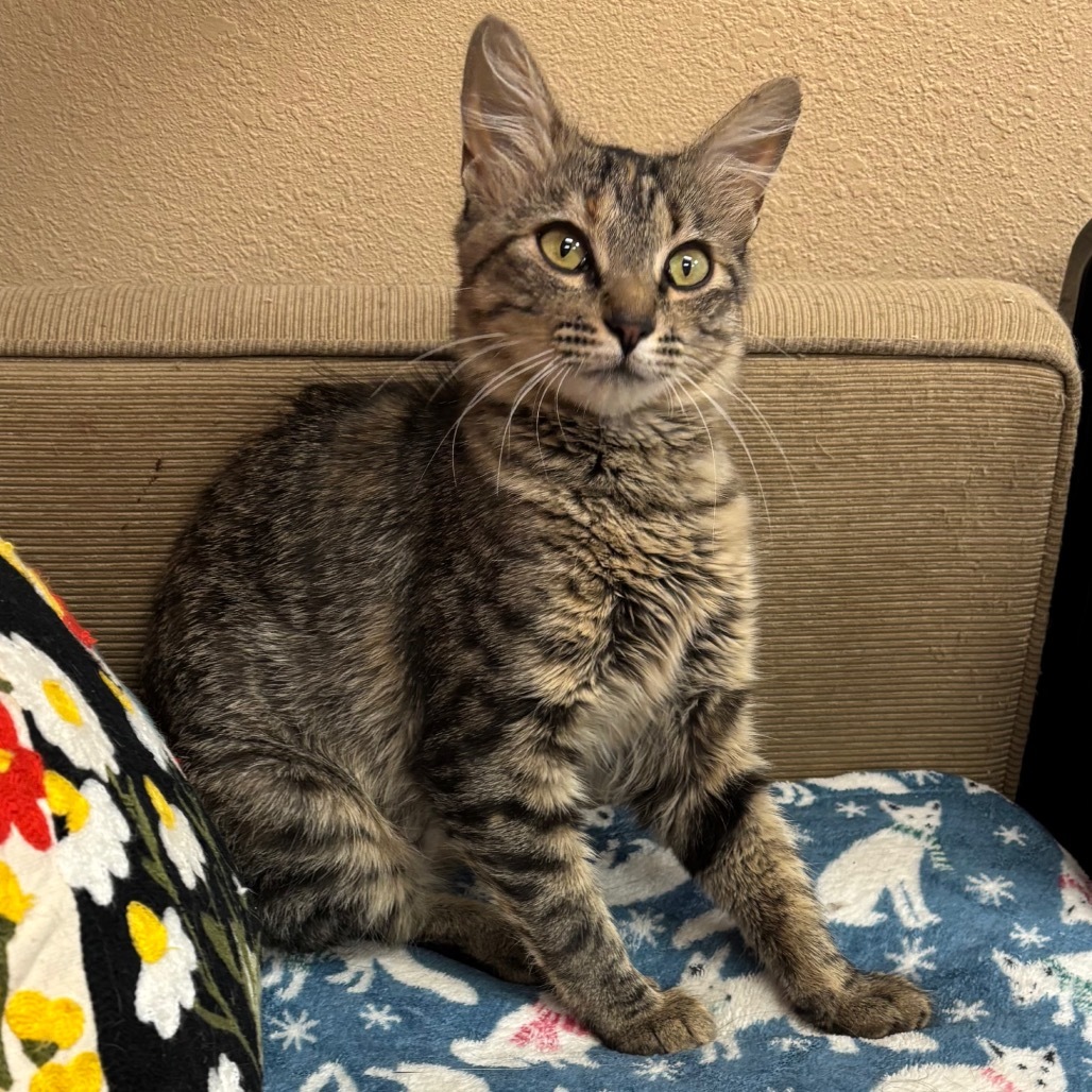 Chardonnay - Has the BEST personality!