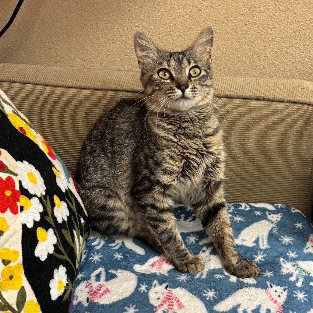 Chardonnay - Has the BEST personality!