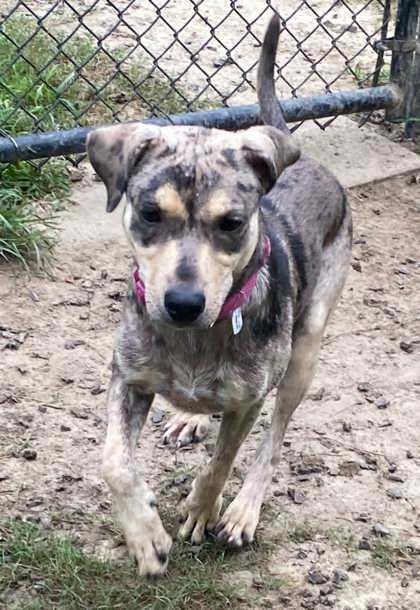 Takis(Demodex) @ Tamroc