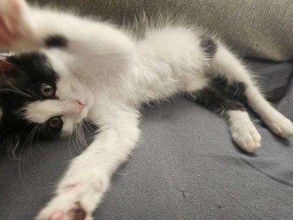 Max