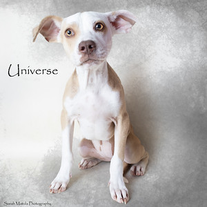 Universe