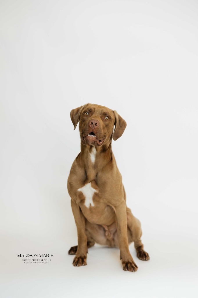 Zeus