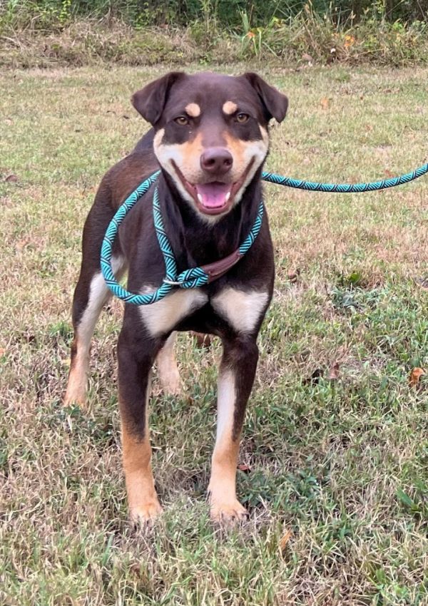 Mocha College photo 1