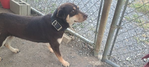 Mocha College thumbnail 2