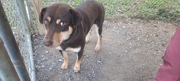 Mocha College thumbnail 3