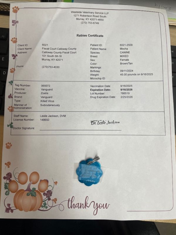 Mocha College thumbnail 5