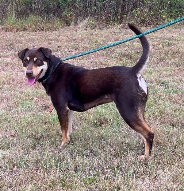 Mocha College thumbnail 6