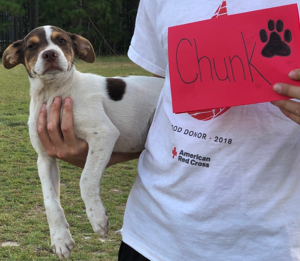 Chunk (Fritz x 7)