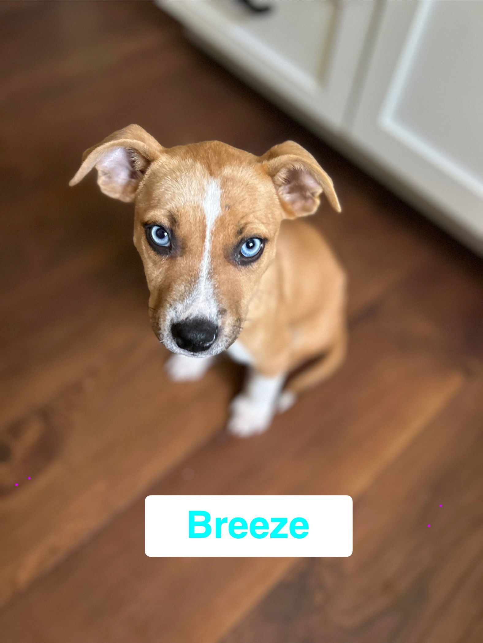 Breeze