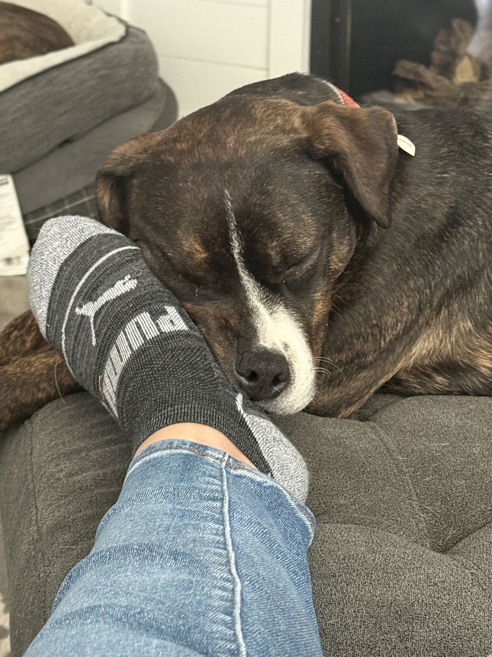 Sweet Rosie