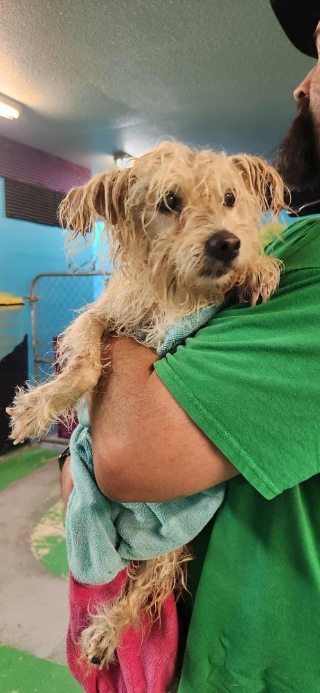 Princess ***RESCUE CENTER***